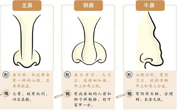 星座屋鼻相图解
